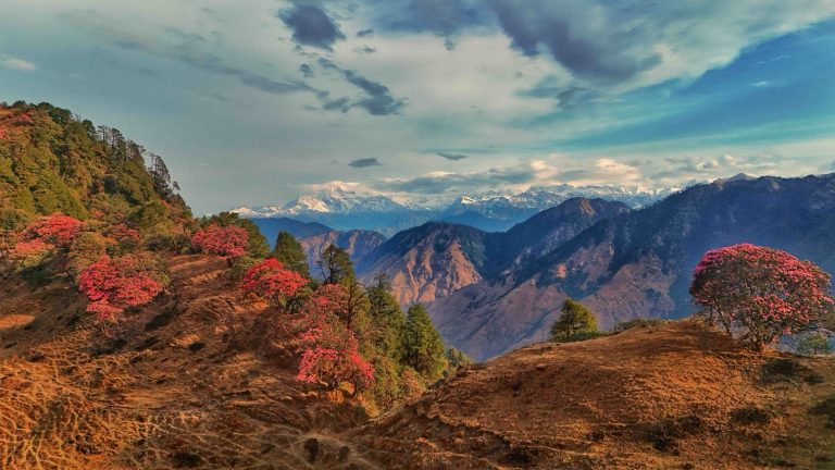 रोल्पाको घोराबाङ देखि जन्तरे सम्मको गुराँस पदयात्रा सम्पन्न, २०० बढी सहभागी (तस्वीरहरू)
